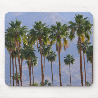 Palme-Wüsten-Kalifornien-Palm Springs Mousepad