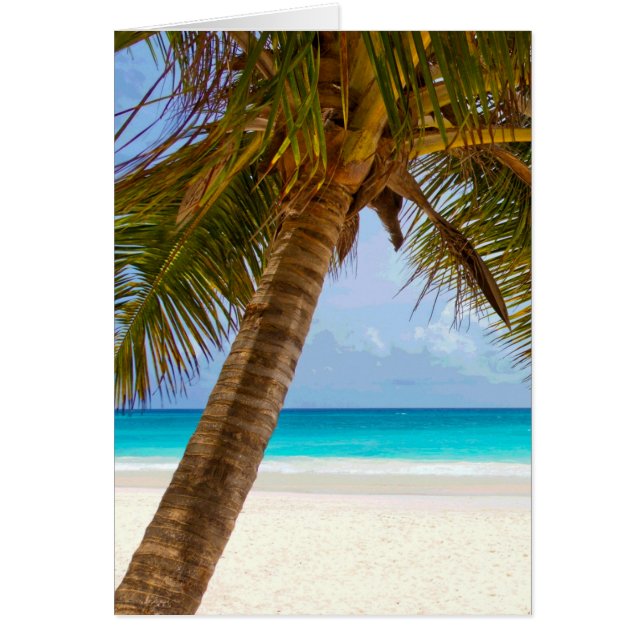 Palmen am Blue Sea & Sky (Vorne)