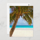 Palmen am Blue Sea & Sky Postkarte (Vorne/Hinten)