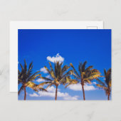 Palmen am Karibischen Strand, Riviera Maya Tulum Postkarte (Vorne/Hinten)