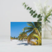 Palmen am Ozeanstrand Postkarte (Stehend Vorderseite)