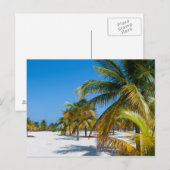 Palmen am Ozeanstrand Postkarte (Vorne/Hinten)