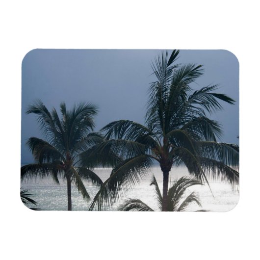 Palmen am Strand Magnet (Horizontal)