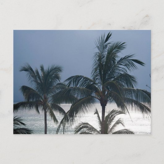 Palmen am Strand Postkarte (Vorderseite)