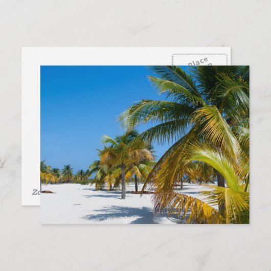 Palmen am Strand Postkarte (Vorne/Hinten)