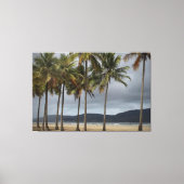 Palmen am Strand von Gonzaga, Santos, Brasilien Leinwanddruck (Vorderseite)