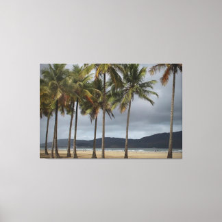 Palmen am Strand von Gonzaga, Santos, Brasilien Leinwanddruck