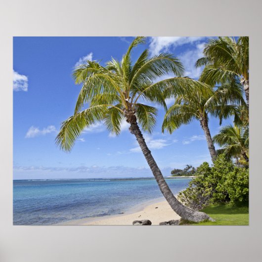Palmen am Strand von Hawaii. Poster (Vorne)