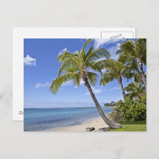 Palmen am Strand von Hawaii. Postkarte (Vorne/Hinten)