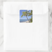 Palmen am Strand von Hawaii. Quadratischer Aufkleber (Tasche)