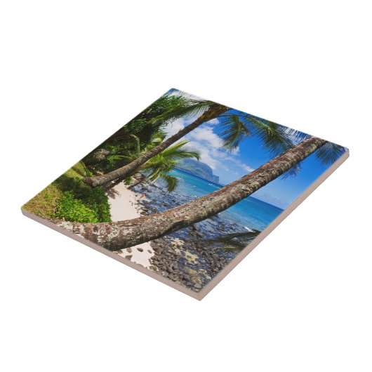 Palmen am Strand von Hideaways Fliese (Seite)