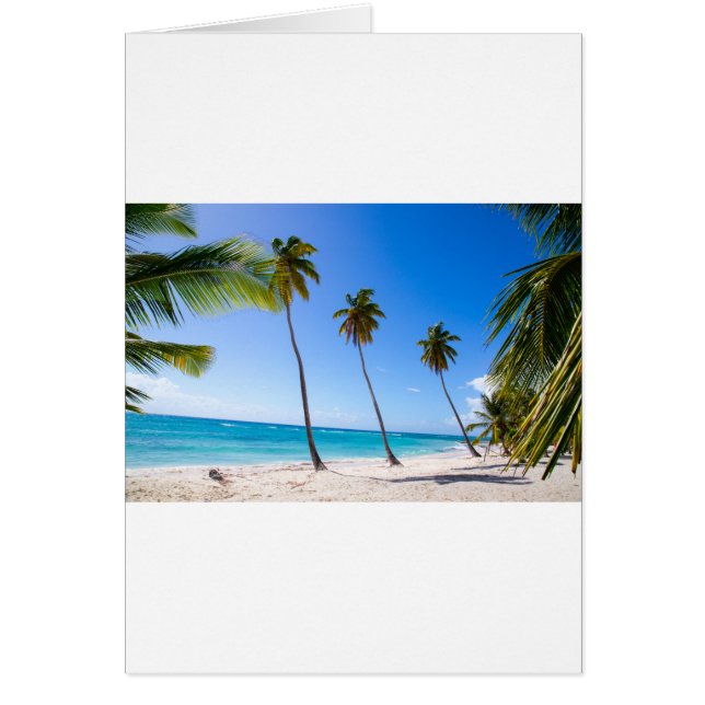Palmen am Strand von Isla Saona (Vorne)