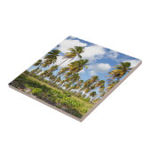 Palmen am Strand von Isla Saona Fliese (Seite)