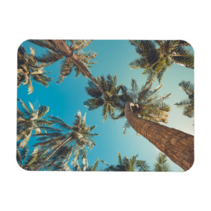 Palmen am Vintagen Tropical Beach Magnet