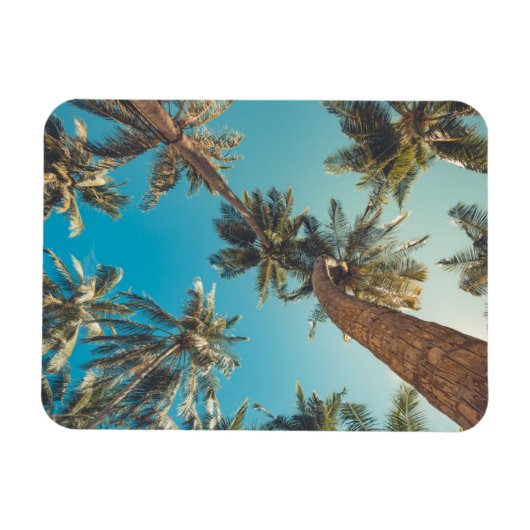 Palmen am Vintagen Tropical Beach Magnet (Horizontal)