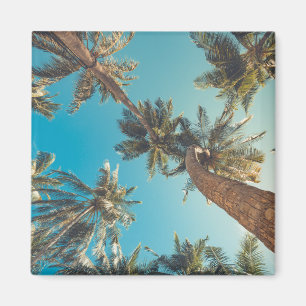 Palmen am Vintagen Tropical Beach Magnet