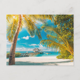 Palmen an einem schönen Sonnenuntergang Postkarte
