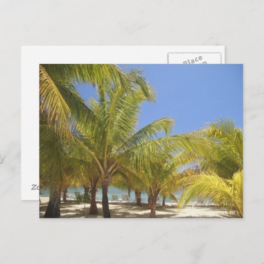 Palmen an einem weißen Sandstrand von Honduras Postkarte (Vorne/Hinten)