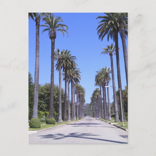 Palmen an einer Straße in Los Angeles Postkarte (Vorderseite)