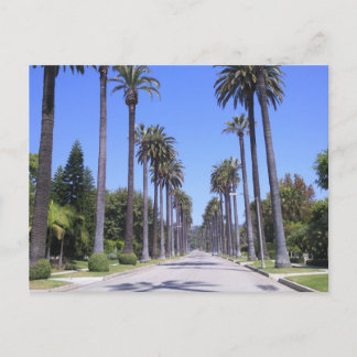 Palmen an einer Straße in Los Angeles Postkarte