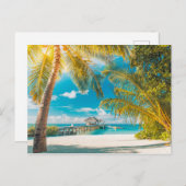 Palmen auf dem Sonnenuntergang Postkarte (Vorne/Hinten)