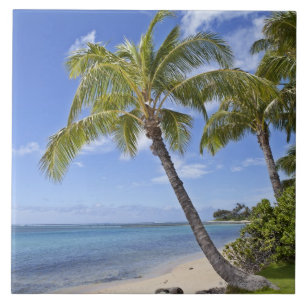 Palmen auf dem Strand in Hawaii Fliese