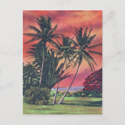 Palmen auf der Insel Hawaii, Vintage Reiseplakat Postkarte (Vorderseite)