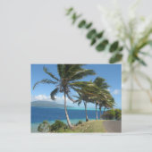 Palmen auf der Insel Taha' aTahiti Postkarte (Stehend Vorderseite)