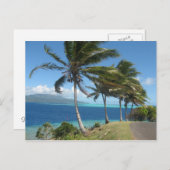 Palmen auf der Insel Taha' aTahiti Postkarte (Vorne/Hinten)