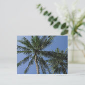 Palmen auf der Postkarte (Stehend Vorderseite)