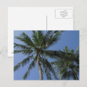 Palmen auf der Postkarte (Vorne/Hinten)