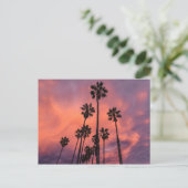 Palmen auf der Postkarte des Sonnenuntergangs (Stehend Vorderseite)
