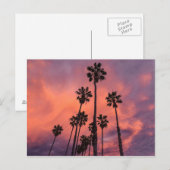 Palmen auf der Postkarte des Sonnenuntergangs (Vorne/Hinten)