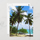 Palmen auf der tropischen Seascape Postkarte (Vorne/Hinten)