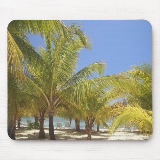 Palmen auf einem weißen Sand-Strand Hondurass Mousepad (Vorne)
