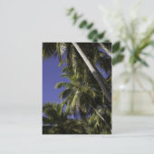 Palmen auf einer tropischen karibischen Insel Postkarte (Stehend Vorderseite)