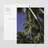 Palmen auf einer tropischen karibischen Insel Postkarte (Vorne/Hinten)
