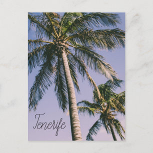 Palmen auf Teneriffa Postkarte