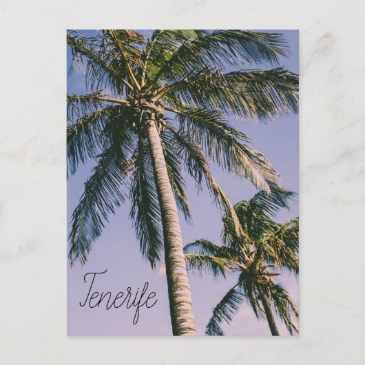 Palmen auf Teneriffa Postkarte (Vorderseite)