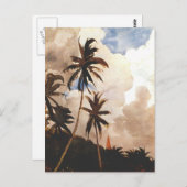 Palmen, Bahamas Postkarte (Vorne/Hinten)