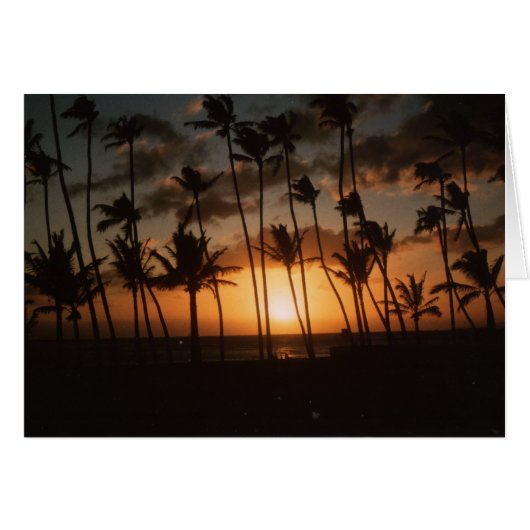 Palmen bei Sonnenuntergang (Vorderseite (Horizontal))