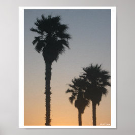 Palmen bei Sonnenuntergang Poster