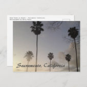 Palmen bei Sonnenuntergang Postkarte (Vorne/Hinten)