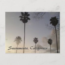 Palmen bei Sonnenuntergang Postkarte