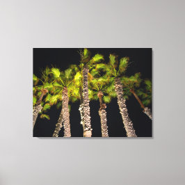 Palmen beim nächtlichen Foto - Premium Wrapper Can Leinwanddruck