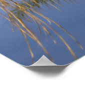 Palmen blühen im Sommer Poster (Ecke)