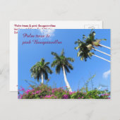 Palmen Bougainvilleas Büsche Florida Postcard Postkarte (Vorne/Hinten)