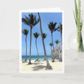 Palmen, Dominikanische Republik, Landschaft Karte (Vorderseite)