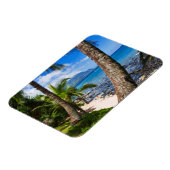 Palmen entlang des Hideaways Beach Magnet (Linke Seite)