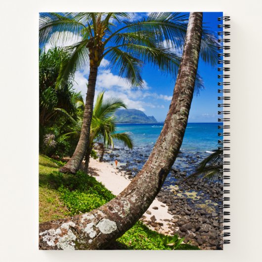 Palmen entlang des Hideaways Beach Notizblock (Rückseite)
